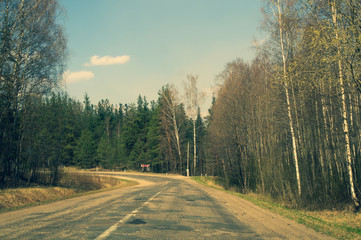 Forest road. way through the forest. country road