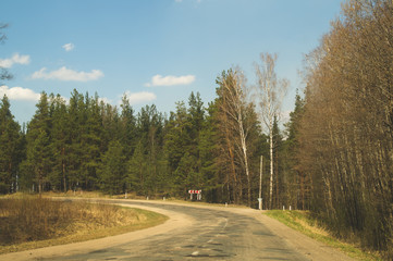 Forest road. way through the forest. country road