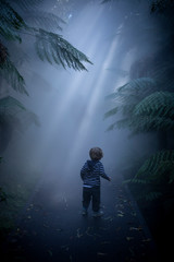boy in the mist