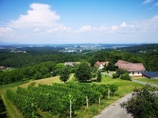 Fototapeta na wymiar Steiermark Österreich Landschaft im Sommer