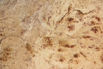 Texture stone yellow-colored clay, paving slabs yellow closeup.