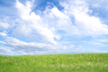 Fototapeta na wymiar Green grass field on small hills and blue sky with clouds