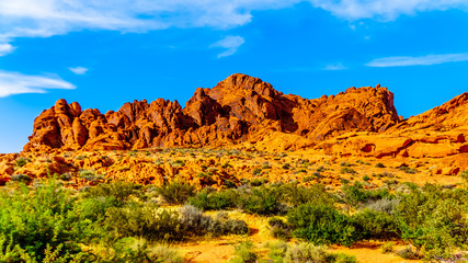 A giant colorful red sandstone rock formation in the Valley of Fire State Park in Nevada, USA