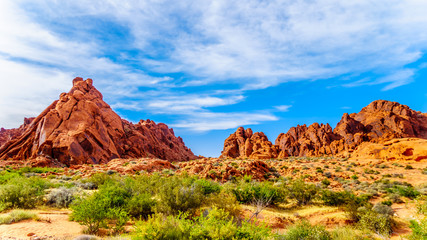 Fototapeta na wymiar Red Aztec Sandstone Mountains under Blue Sky at the Mouse's Tank Trail in the Valley of Fire State Park in Nevada, USA