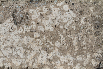 texture of stone wall