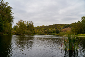 landscape with river and trees