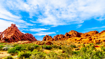 Red Aztec Sandstone Mountains under Blue Sky at the Mouse's Tank Trail in the Valley of Fire State Park in Nevada, USA