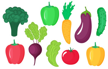 Vegetables set of beet, broccoli, lettuce, carrot, eggplant, cucumber, tomato, paprika isolated on white background.