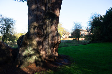 grounds of charlecote park estate warwickshire england uk