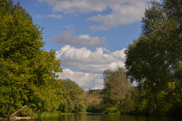 landscape with trees and blue sky