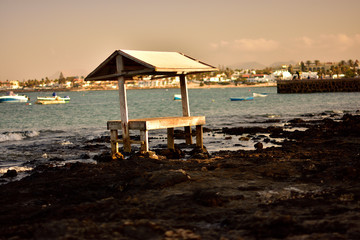 Fish stand