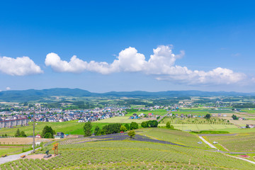 北海道　日の出公園展望台より上富良野町を望む