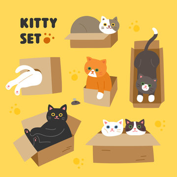 Set of cute cats in the picture style hands playing in the box. flat design style minimal vector illustration.