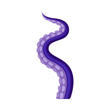 Strongly bent violet tentacles of octopus. Vector illustration on white background.