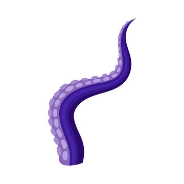 Violet octopus tentacles with a bend to the right. Vector illustration on white background.