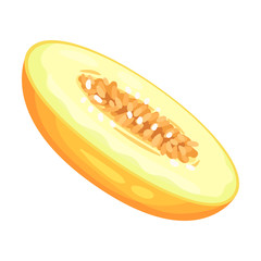 Half a melon. Vector illustration on white background.