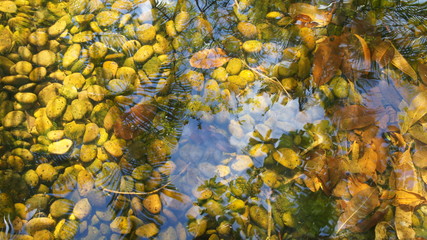 A variety of rocks arranged in water