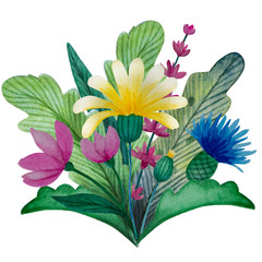 Watercolor wild flowers bouquet of chamomile, cornflower, botanical natural floral Illustration on white. Summer greeting card or wedding invitation