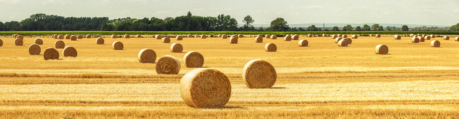 Strohballen auf dem Feld