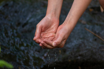 Fototapeta premium Durch Kinderhände fließt klares Quellwasser in einem naturbelassenen Wald mit Farnen und unscharfem Hintergrund