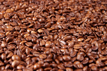 Coffee beans background