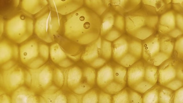 closeup of a honeycomb from a bee hive spilling drops of honey covering the honeycomb
