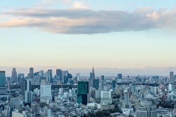 Fototapeta premium 東京 都市景観
