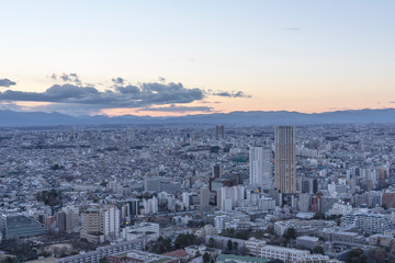 Fototapeta premium 東京 都市景観