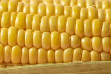 Macro view of yellow corn cob with grains