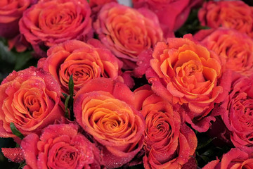Floral business concept. Floristic studio, salon and store. Fresh scarlet roses with water drops for sale in flower shop, closeup view. Moisturizing fresh flowers for long-term storage.