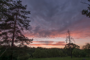 evening sky in a field with trees