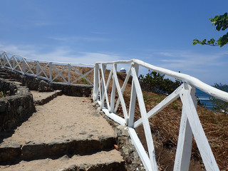 steps next to the sea shore, with a white hedge