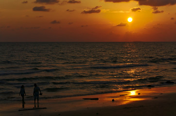 Adult male and female lovers are walking together on the beach in the evening