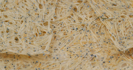 Japanese dry fish snack for beer, tatami iwashi