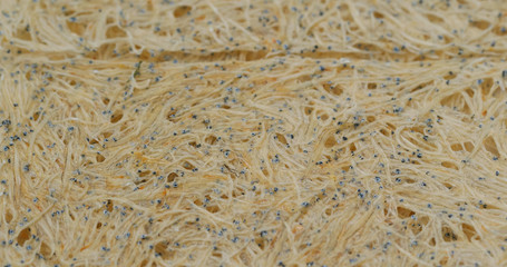 Japanese dry fish snack for beer, tatami iwashi