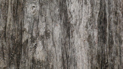 old wood background, dirty wooden board texture
