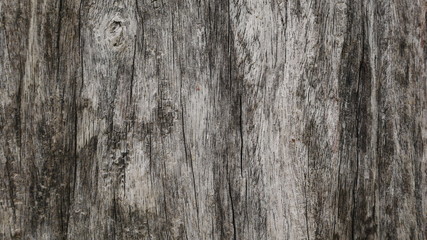 Fototapeta premium old wood background, dirty wooden board texture