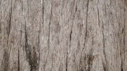 100 year old wooden board texture background