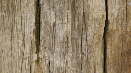 100 year old wood texture background