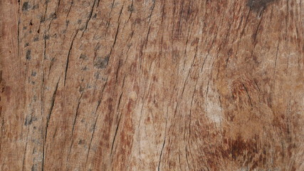 texture of wood