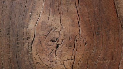 tree wood board texture background, brown hardwood texture