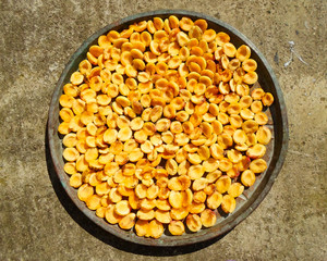 a lot of dried apricots in large plates in the sun, background photo