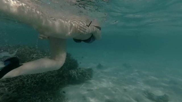 Caucasian girl is snorkeling in the blue Maldivian ocean
