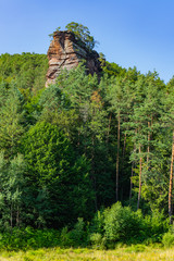 Obraz premium Rocks towering through trees in a forest landscape in Dahn Rockland