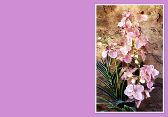 card empty in purple background with orchids, for writing