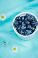 Blueberry  on a blue background