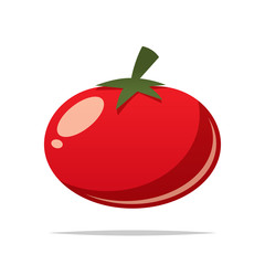 Tomato vegetable vector isolated illustration
