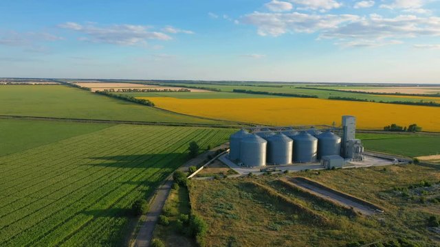 modern grain silos elevator at the field of blooming sunflowers aerial view