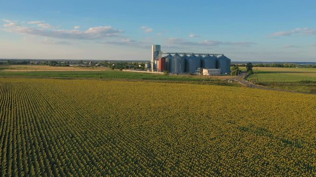modern grain silos elevator at the field of blooming sunflowers aerial view