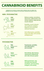Cannabinoid Benefits vertical infographic illustration about cannabis as herbal alternative medicine and chemical therapy, healthcare and medical science vector.